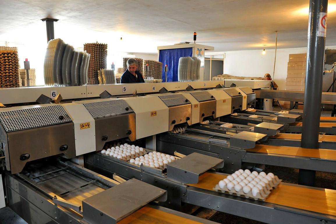 factory image 2